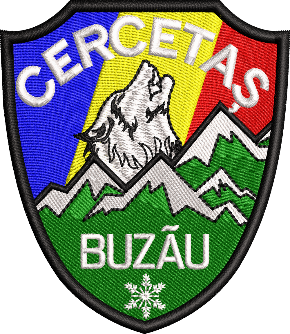 EMBLEMA - BATALIONUL 3 GENIU CERCETARE